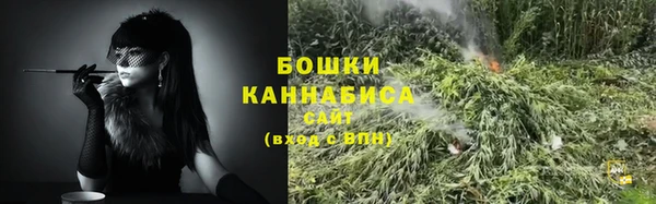 молекула духа Осташков