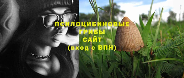 твердый Абинск