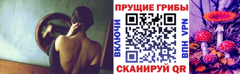 hydra ссылки  Костомукша  Галлюциногенные грибы Psilocybe 
